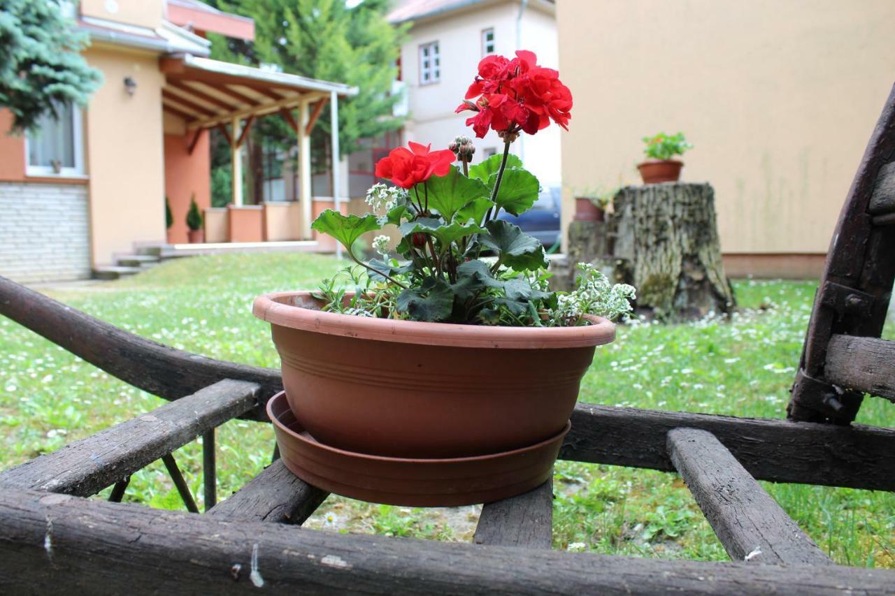 Strigonia Apartman Esztergom Exteriör bild